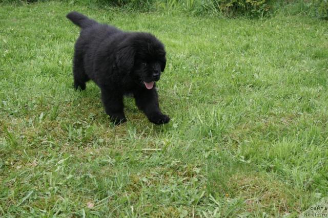 Фото: Nataliya Ryatsep (Наталия Рятсеп)