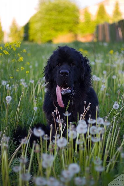 Фотография № 42800