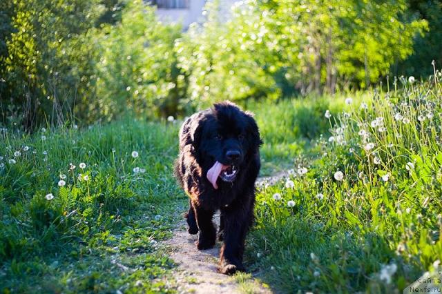 Фотография № 42801