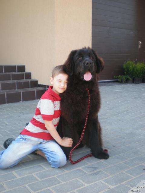 Фотография № 42804