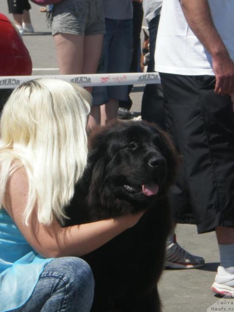 Фотография № 42807