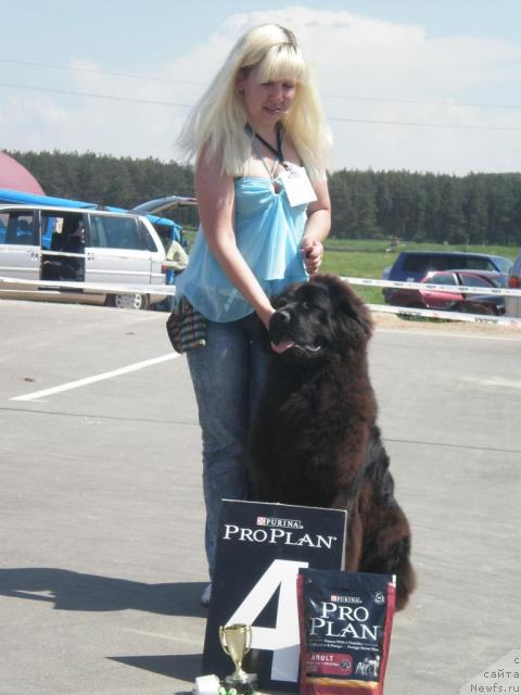 Фотография № 42808