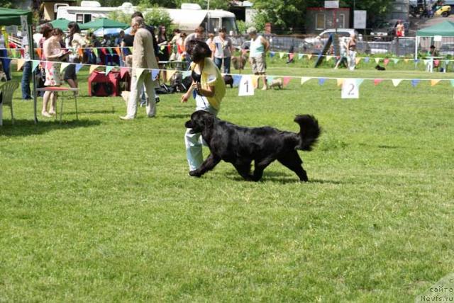 Фотография № 42819