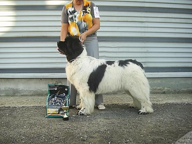 Фотография № 42821