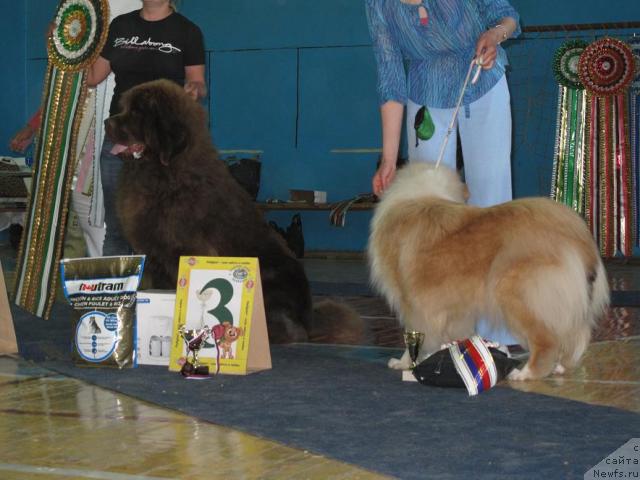 Фотография № 42831