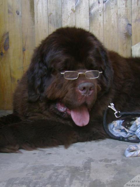 Фотография № 42832