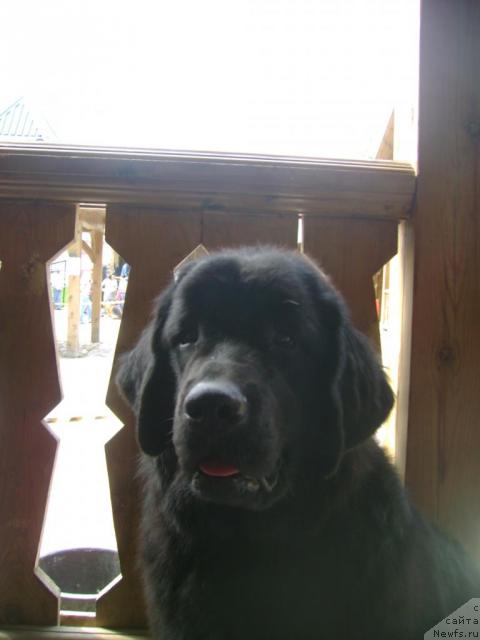 Фотография № 42841