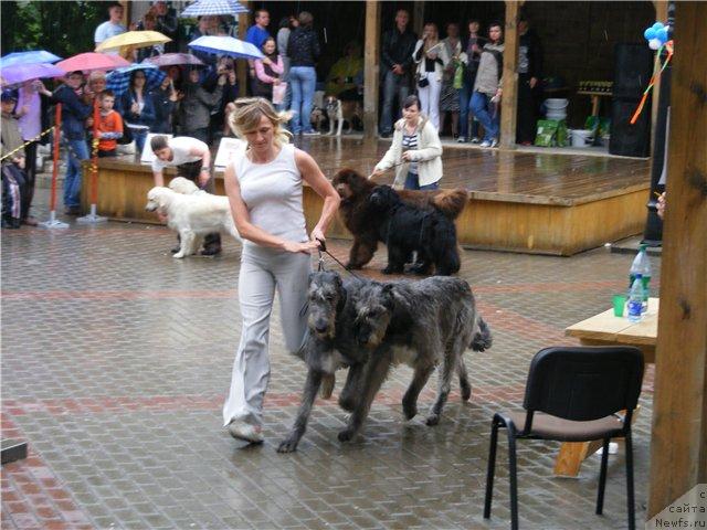 Фотография № 42861