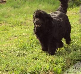 Фотография № 42864