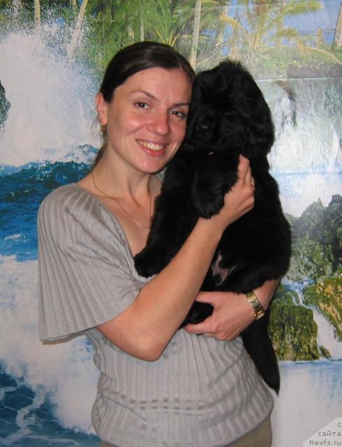 Фото: ньюфаундленд Leonardo de Lord (Леонардо де Лорд)