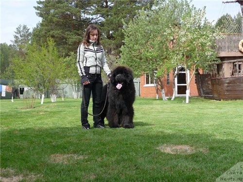 Фотография № 42874