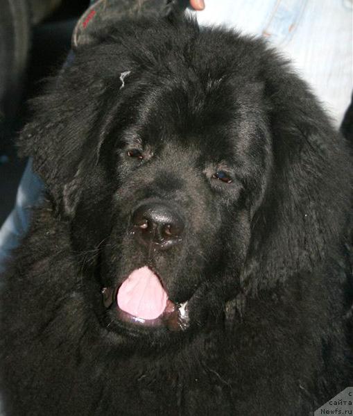 Фотография № 42883