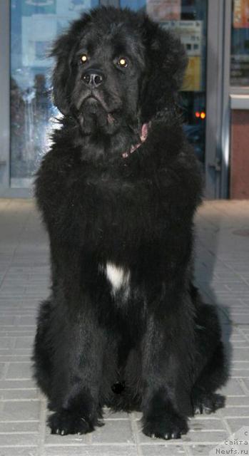 Фотография № 42884