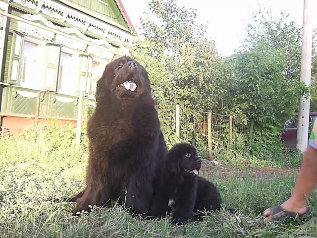 Фотография № 42886