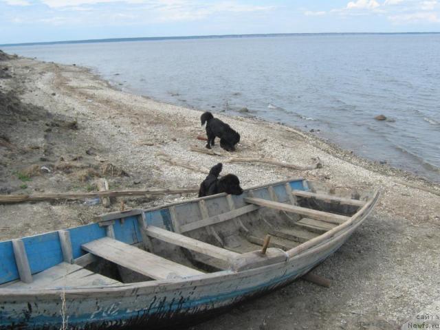 Фотография № 42911