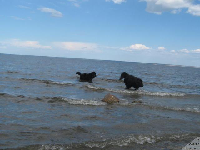 Фотография № 42914