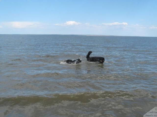 Фотография № 42915