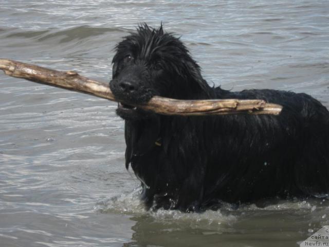 Фотография № 42920