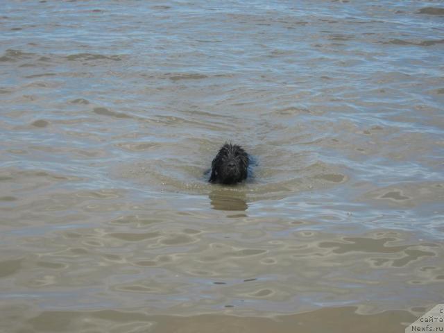 Фотография № 42923