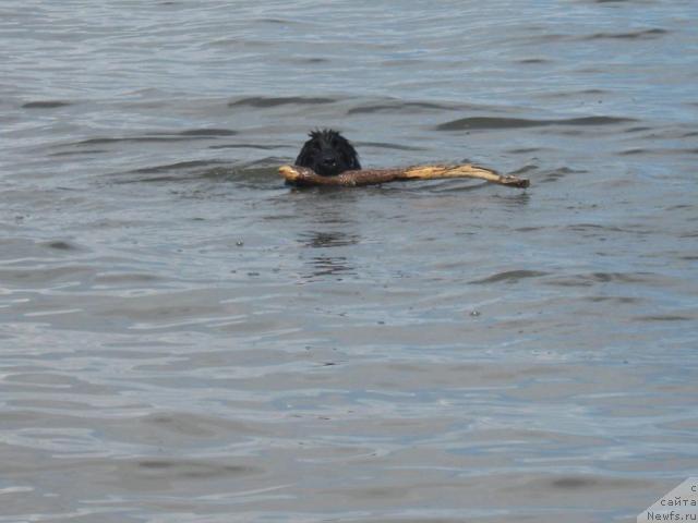 Фотография № 42924