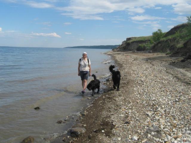 Фотография № 42929