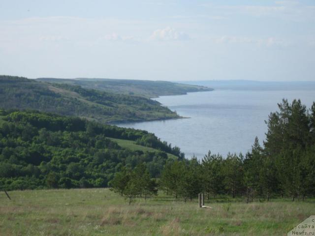 Фотография № 42933