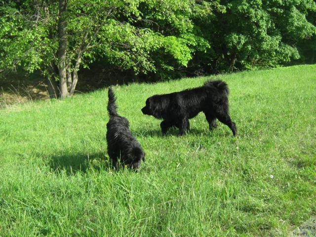 Фотография № 42936