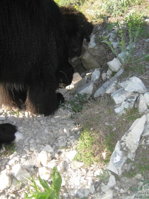 Фотография № 42938