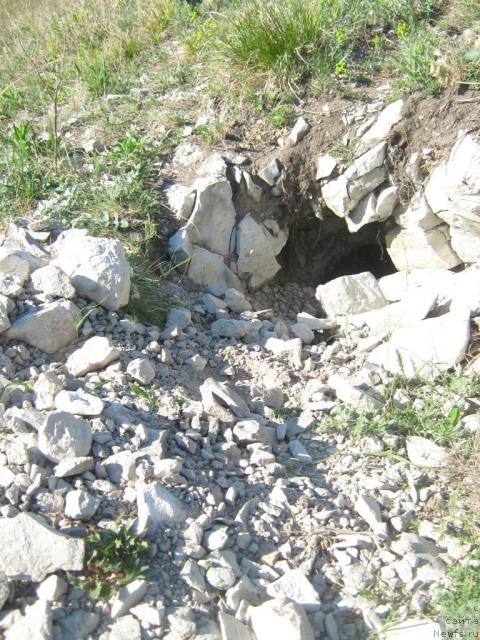 Фотография № 42939