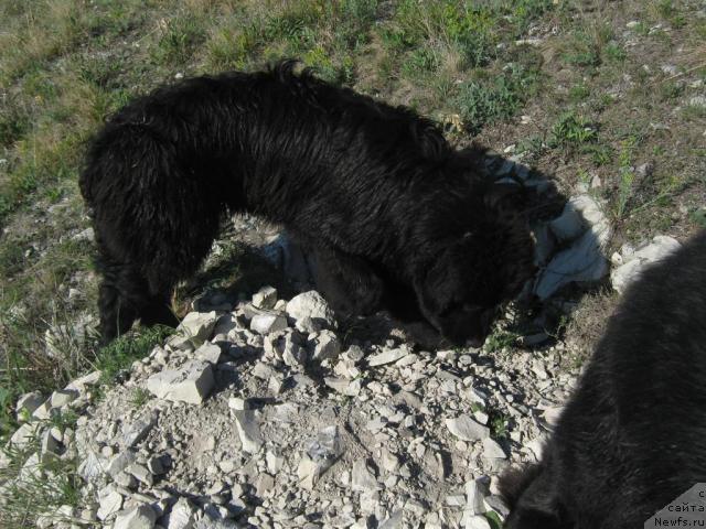 Фотография № 42941