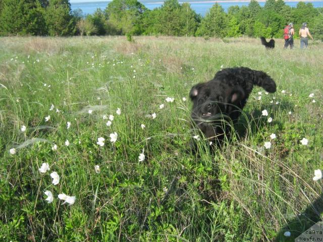 Фотография № 42943