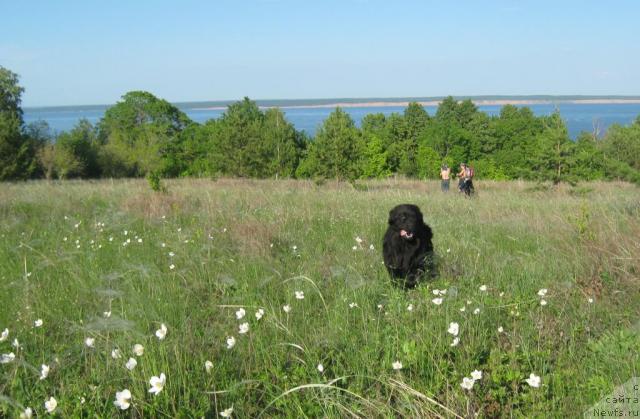 Фотография № 42944