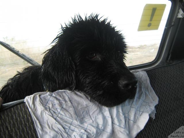 Фотография № 42945