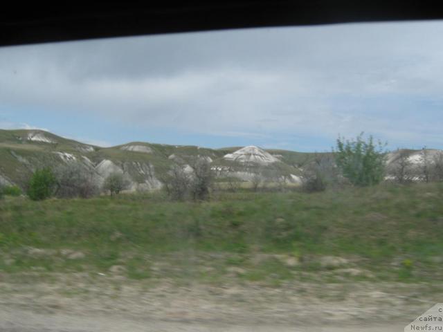 Фотография № 42947