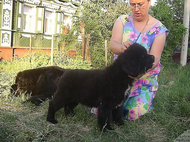 Фотография № 42948