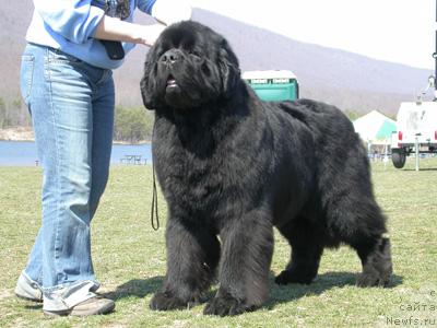 Фотография № 43006