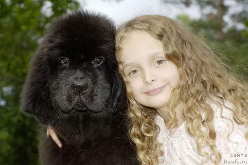 Фото: Laura Wesseltoft и, ньюфаундленд Bjornebandens Richardo Dot Com