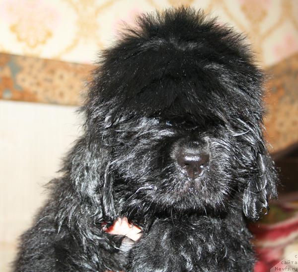 Фото: Бегущая по волнам Хаста ла Виста