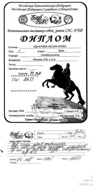 Фотография № 43023