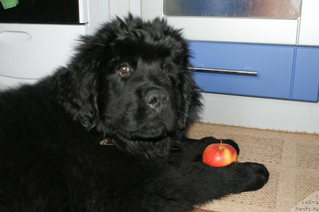 Фотография № 43042