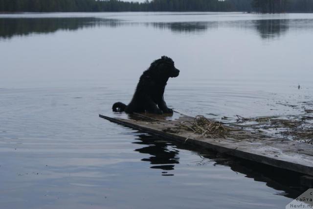 Фотография № 43043