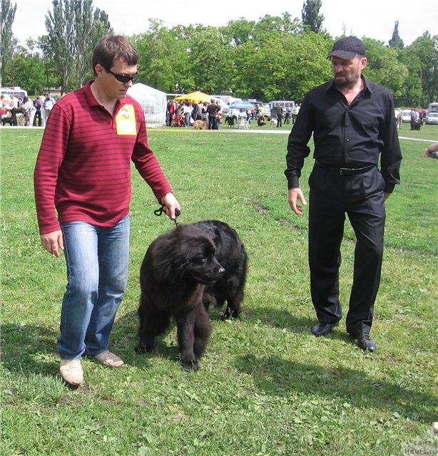 Фотография № 43054