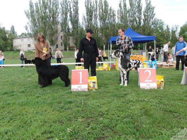 Фотография № 43058