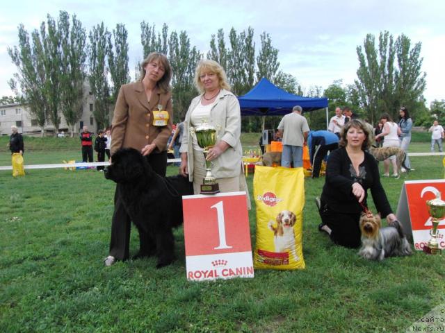 Фотография № 43059