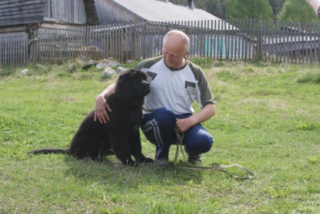 Фотография № 43061