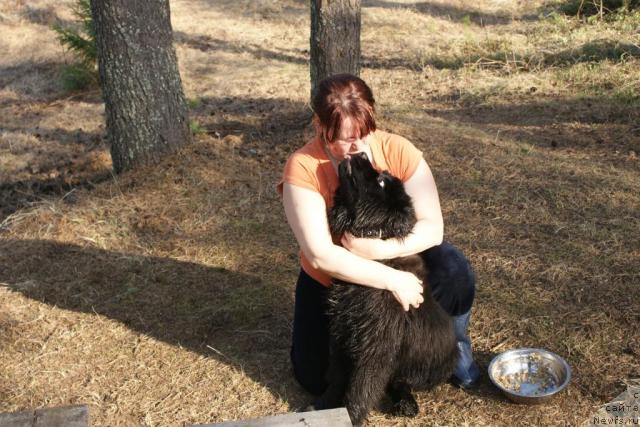 Фотография № 43063