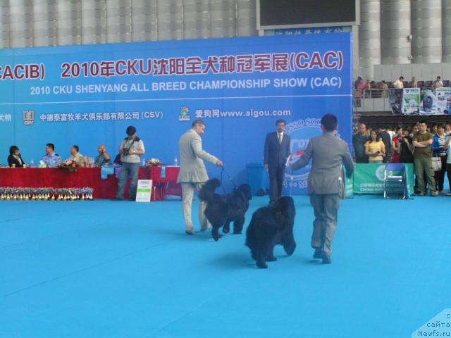 Фотография № 43066