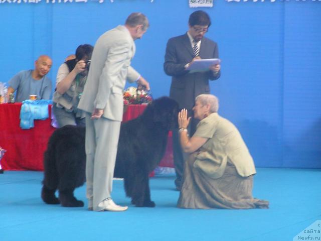 Фотография № 43068