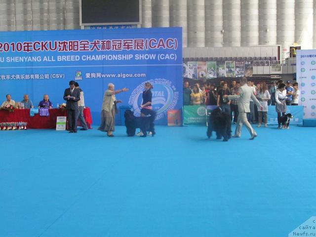 Фотография № 43069