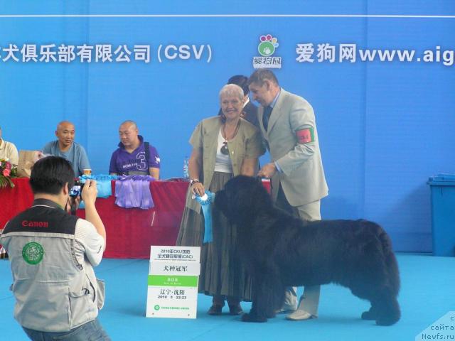 Фотография № 43070